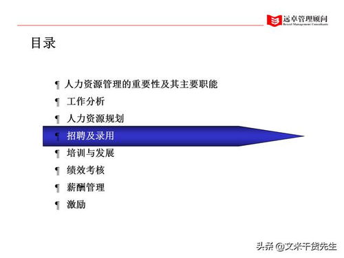 知名咨詢公司客戶案例 100頁人力資源管理的全面提升,系統完整